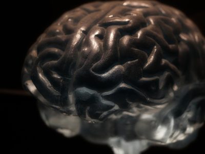 Neurociencia4 Neurociencia4